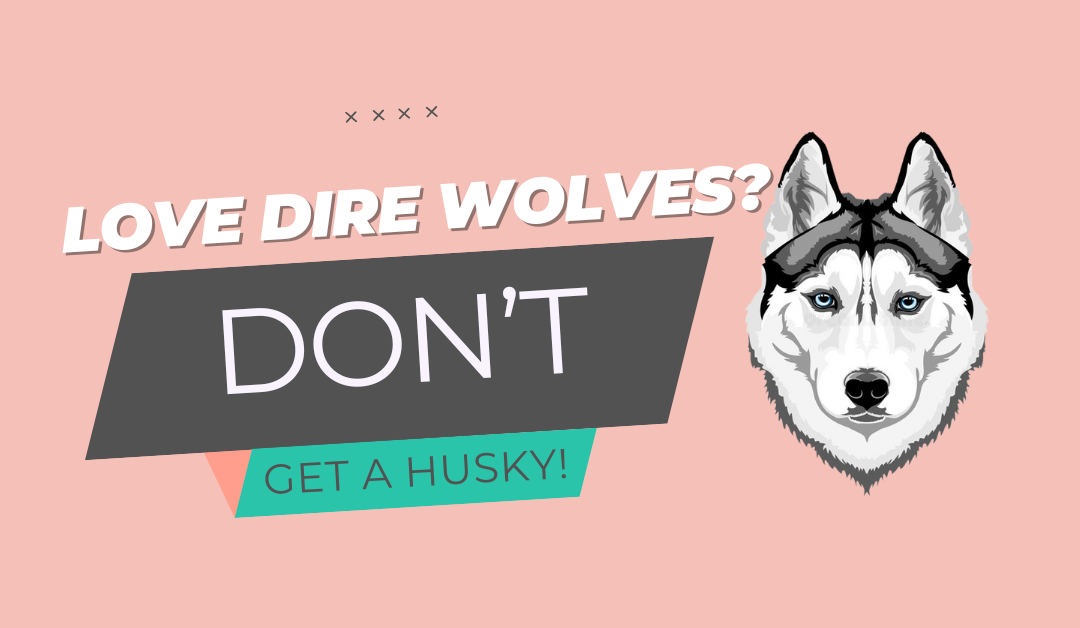 Love Dire Wolves? Don’t Get A Husky