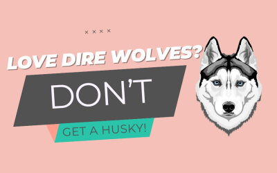 Love Dire Wolves? Don’t Get A Husky